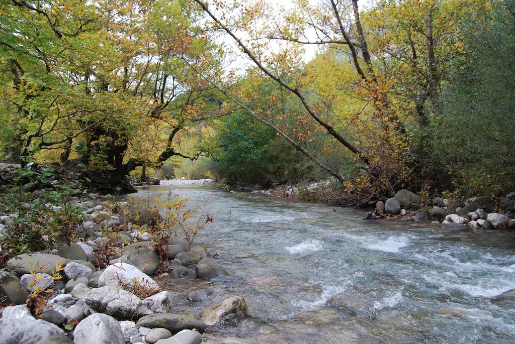 Dryades Guesthouse Ano Chora Pokoj fotografie